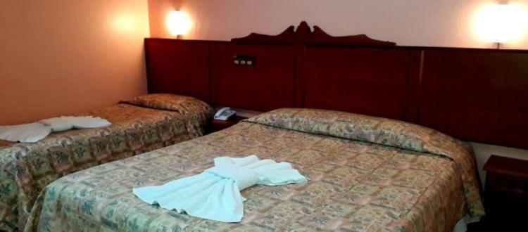 Standard Triple Room,1743130612:JPEG