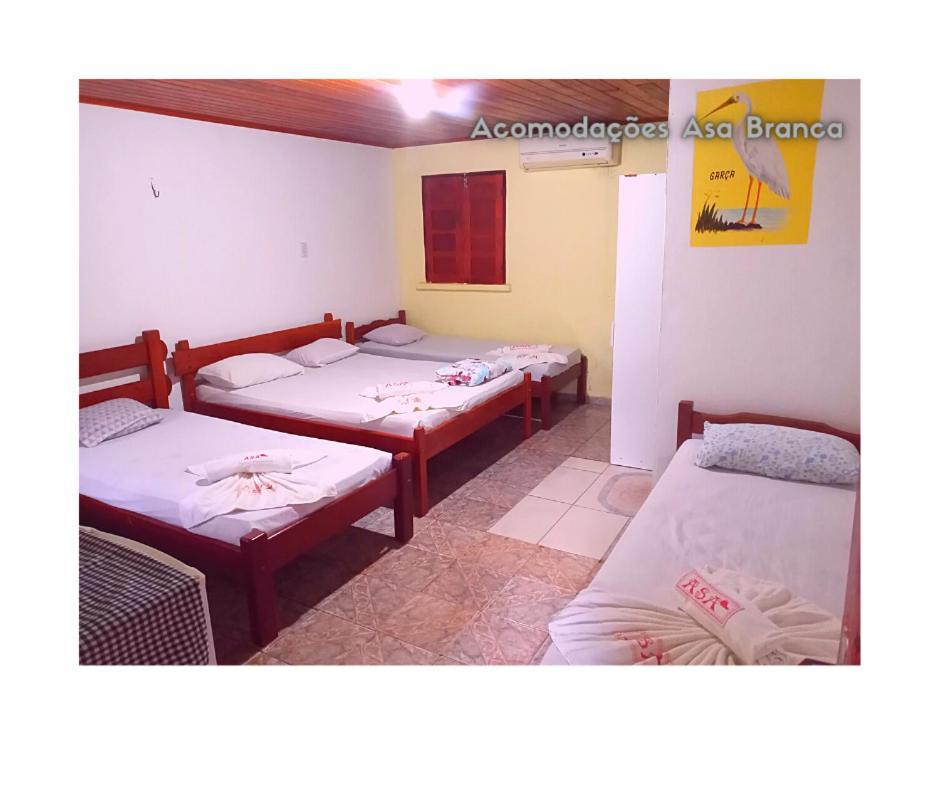 Quarto Família