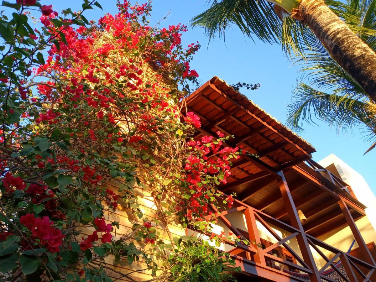 Apartment Terrace
