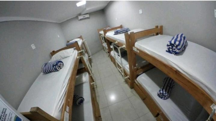 Bunk Bed in Mixed Dormitory Room