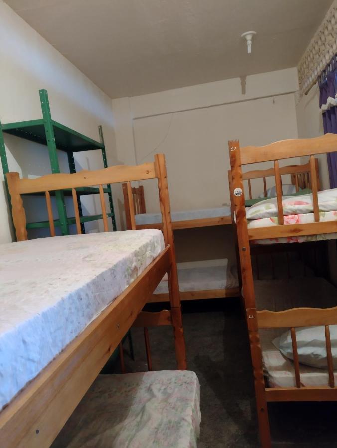 Bunk Bed Mixed Dormitory Room,1758426497:JPEG