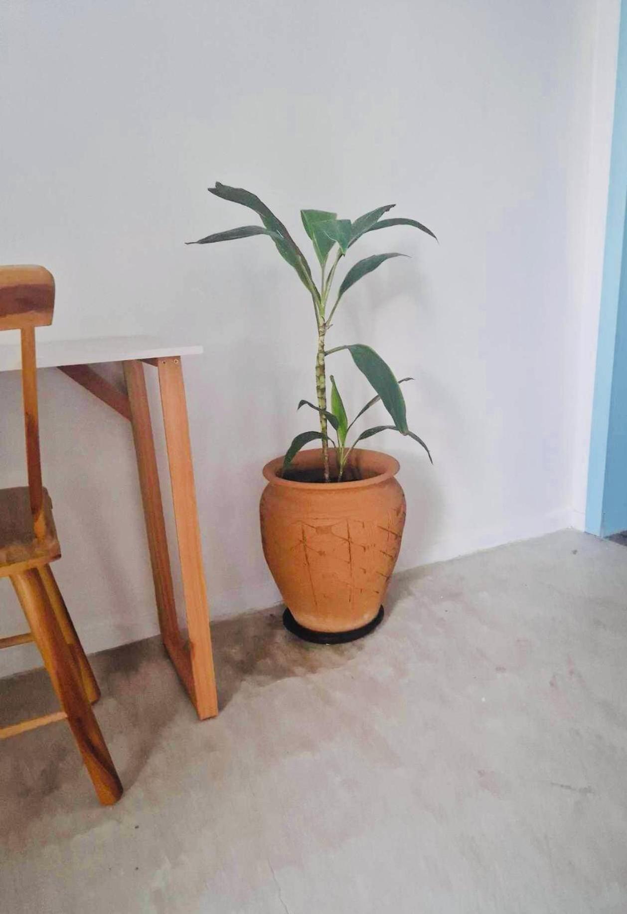 Quarto Triplo com Vista do Jardim