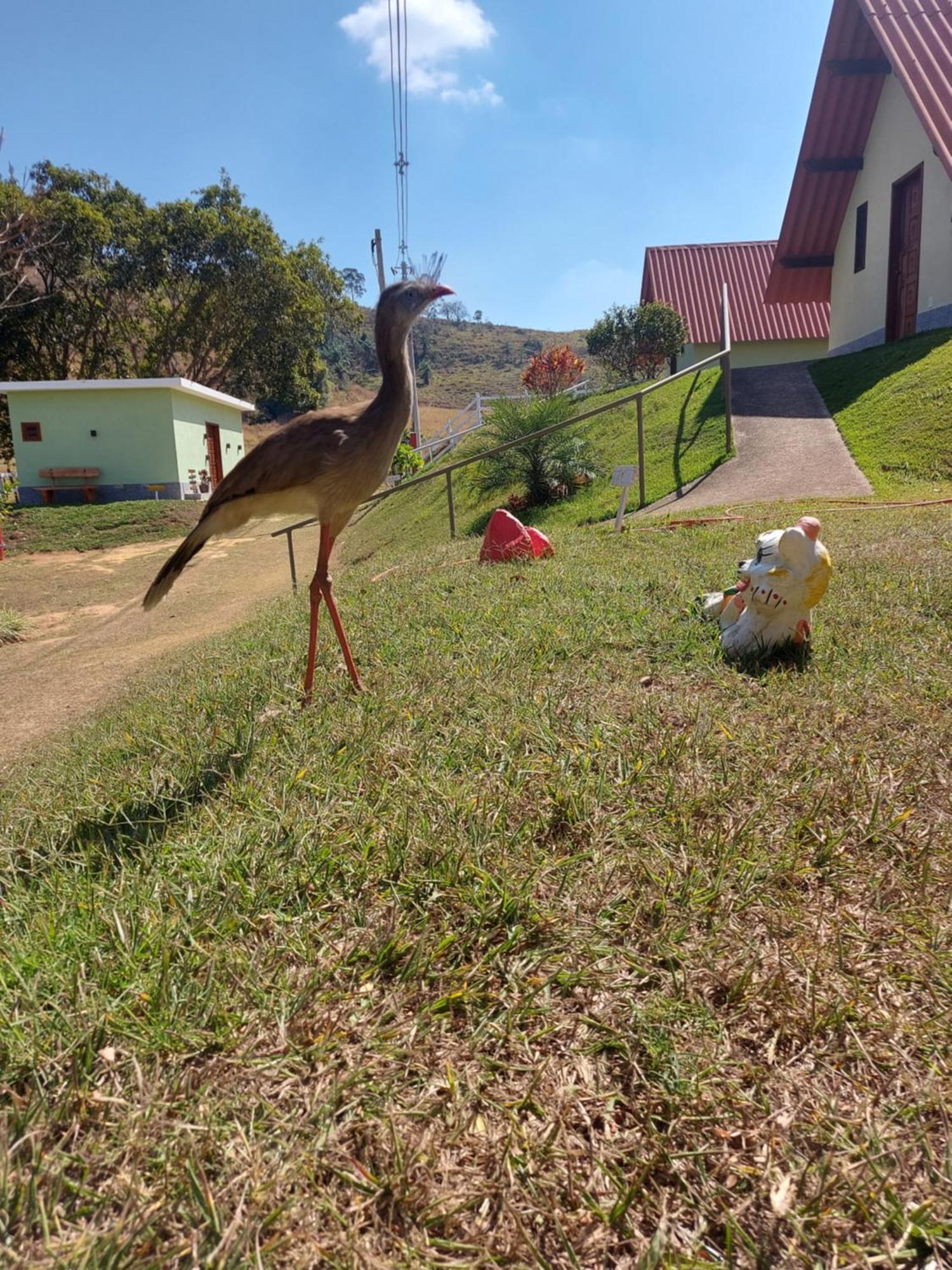 Quarto Quádruplo com Vista do Lago