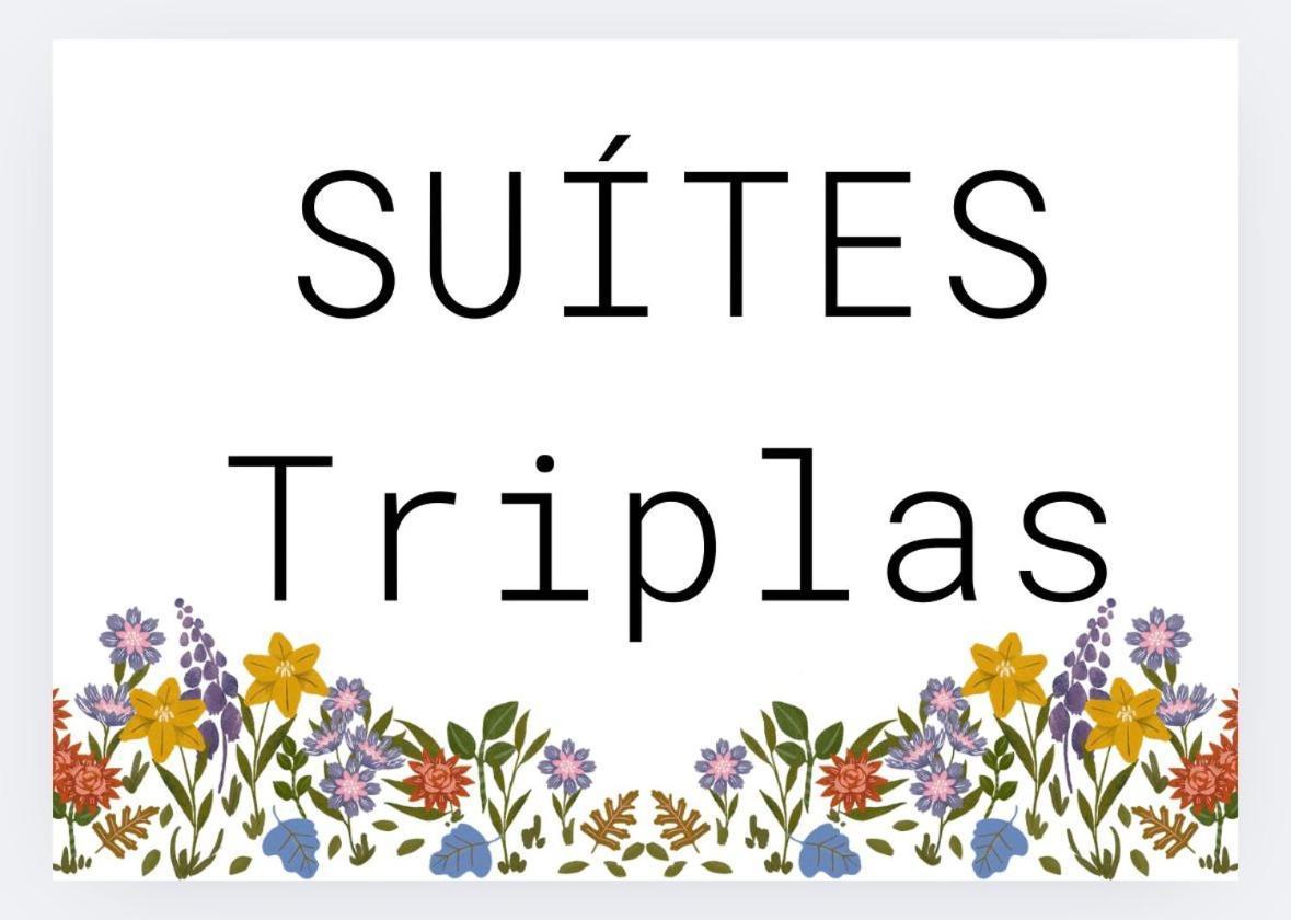 Triple Room,1666047872:JPEG