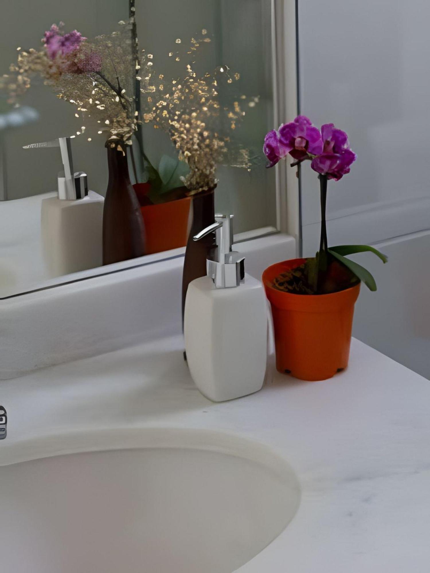 Suite Junior con terraza