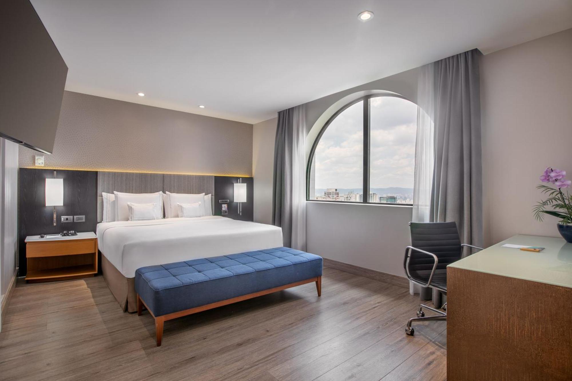 Suite Queen Júnior