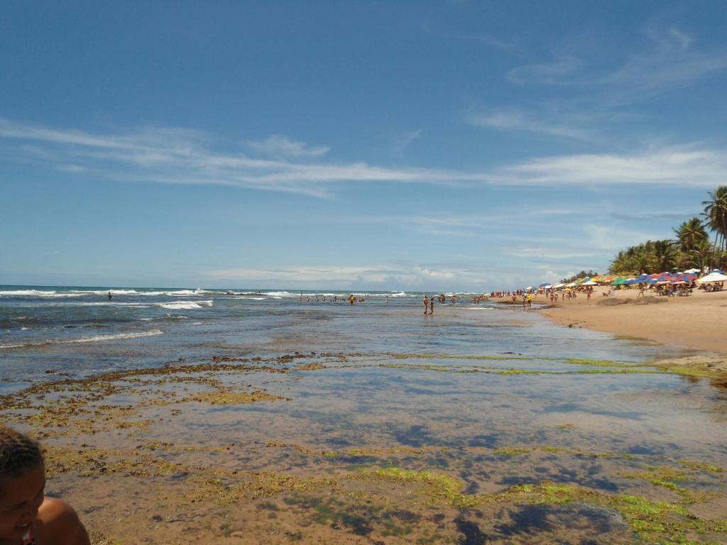 Standard Double Apartment,22323846:JPEG