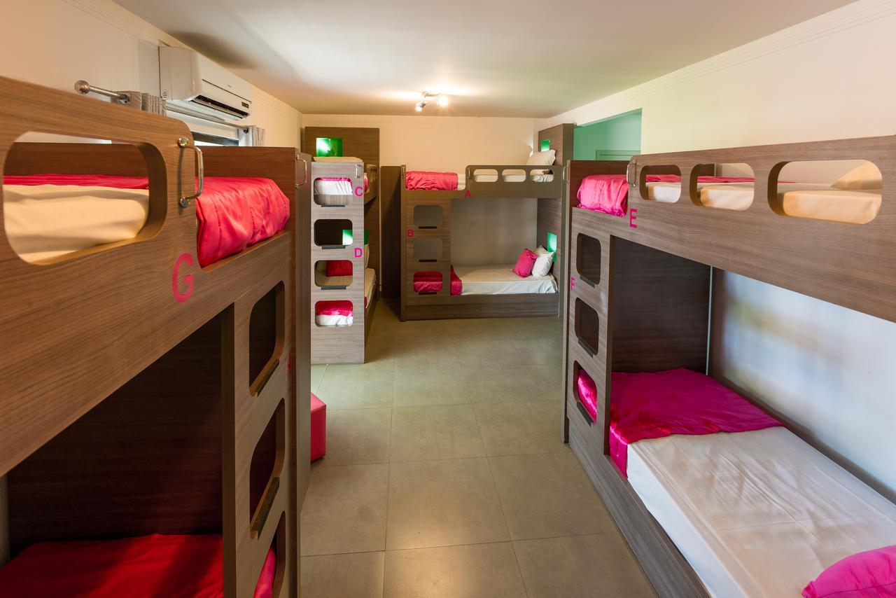 Bed in 8-Bed Female Dormitory Room,687924945:JPEG