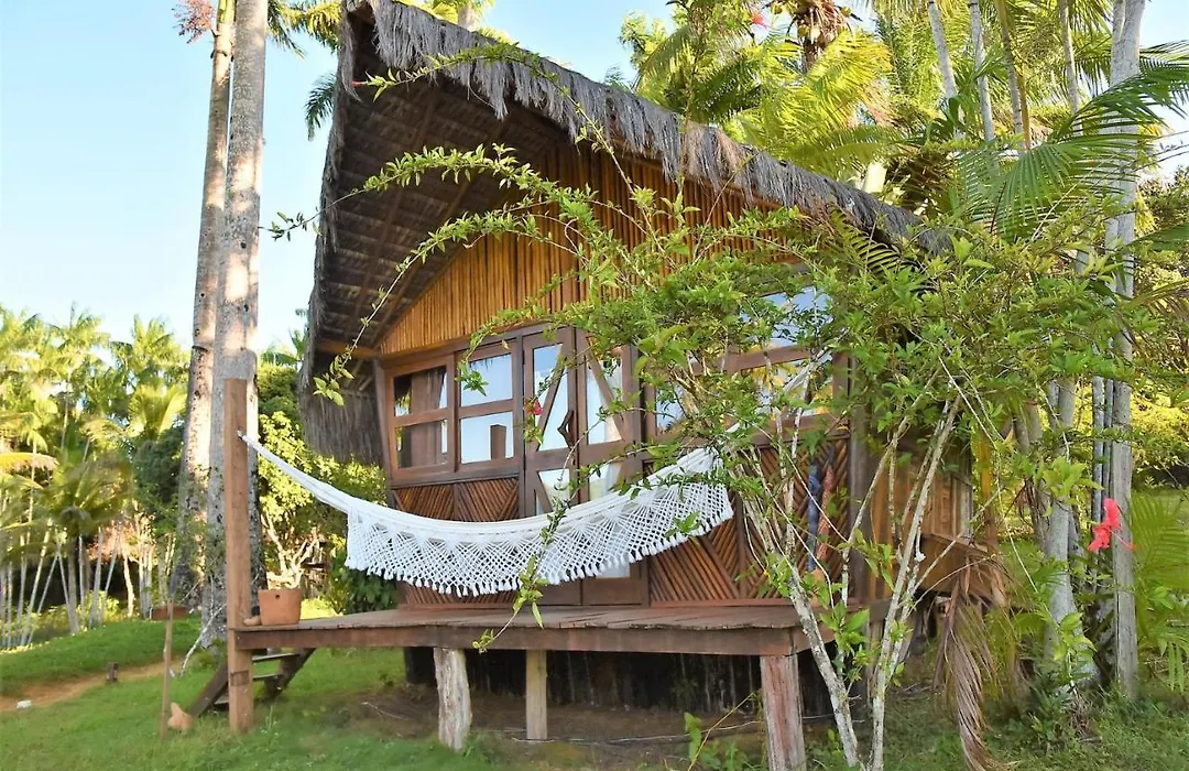 Art Jungle Eco Lodge-1