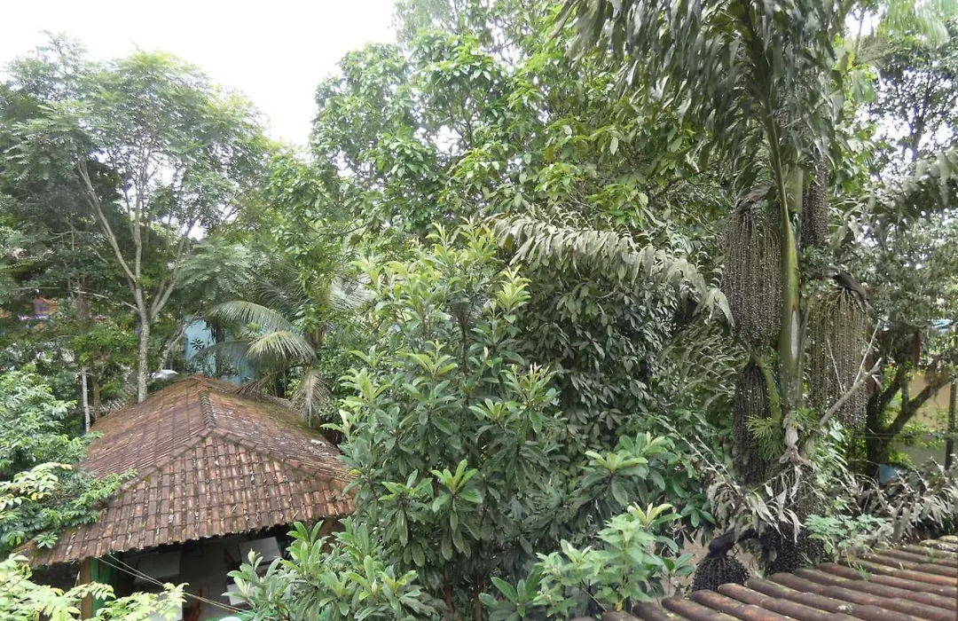 Pousada Jambo Trindade-1