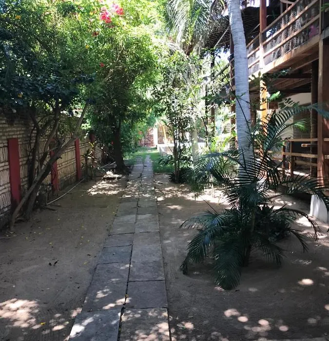 Casa Bouganville Apartamento 4-1