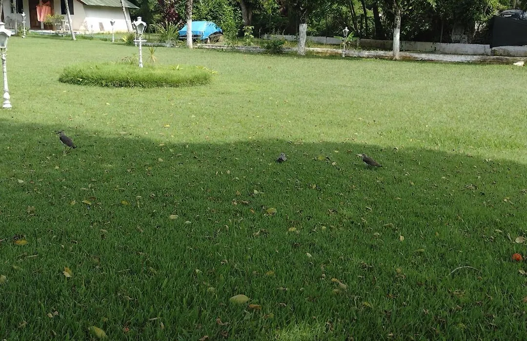 Ilhabela Tenis Clube-1