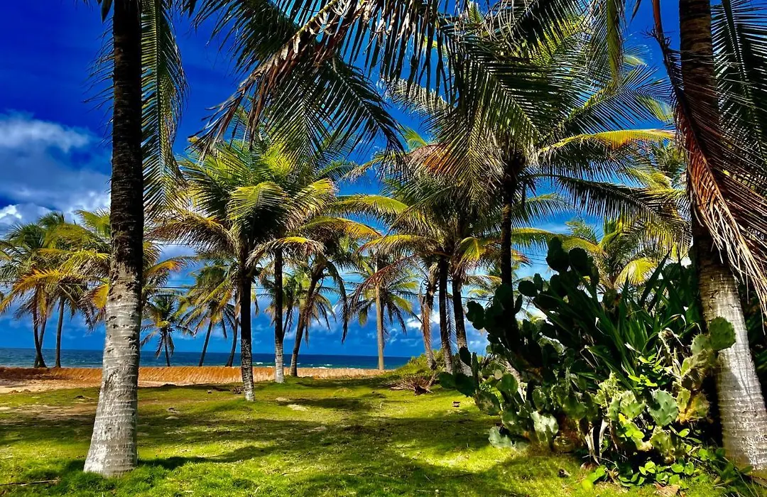 Praia Do Sol Triplex Beach House-1