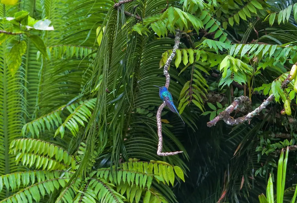 Pousada Almaviva-1