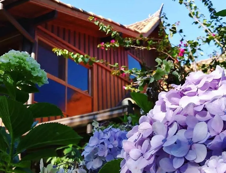 Casa da Floresta-1