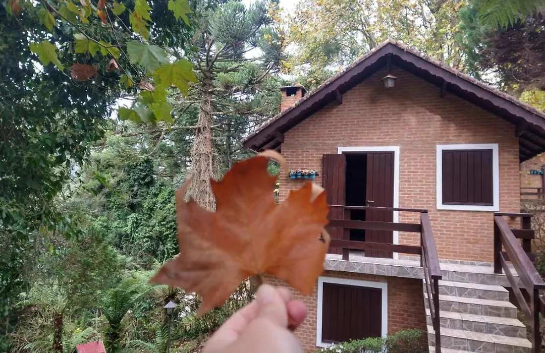 Pousada Estrela da Serra-1