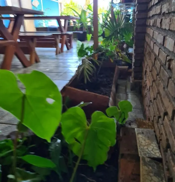 Pousada Bella Açucena-1