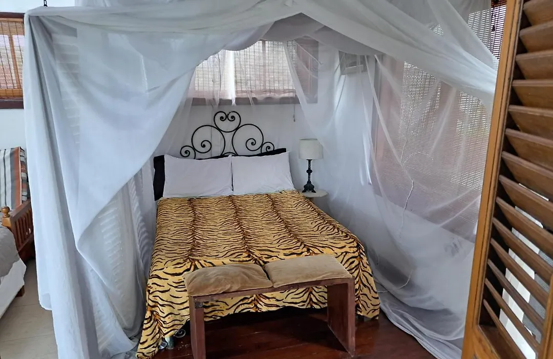Loft Verde Chic Na Barra Da Tijuca-1