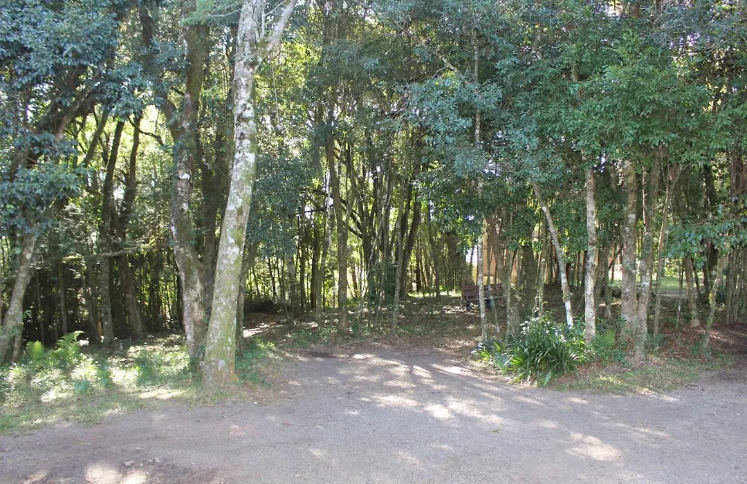 Pousada Floresta Negra-1