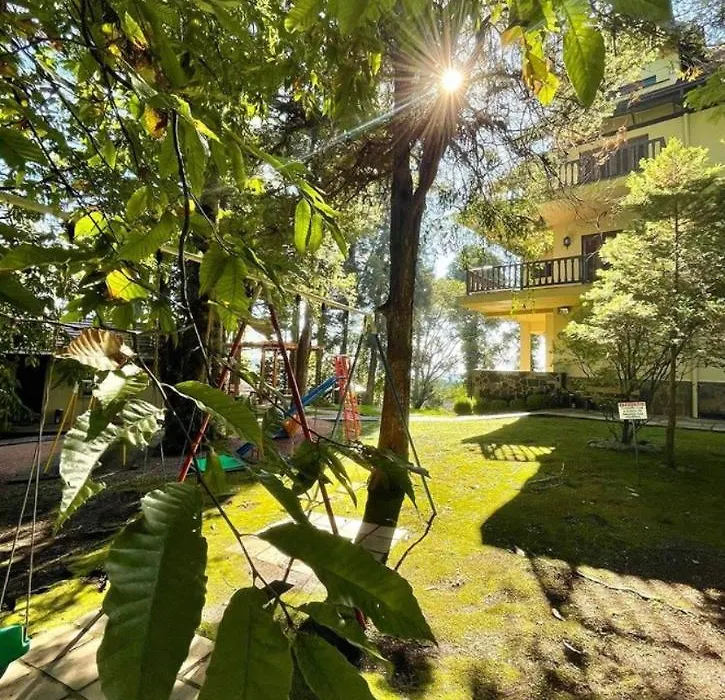 Natal Luz - Gramado! Residencial Vale Dourado-1