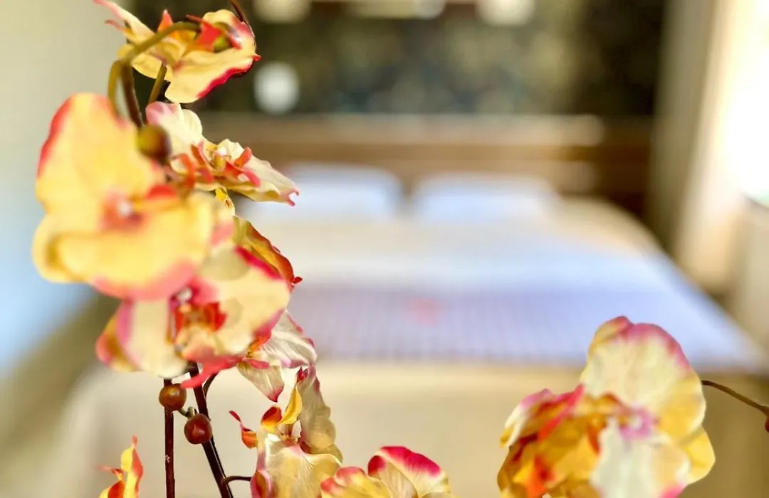 Hotel Fenice-1