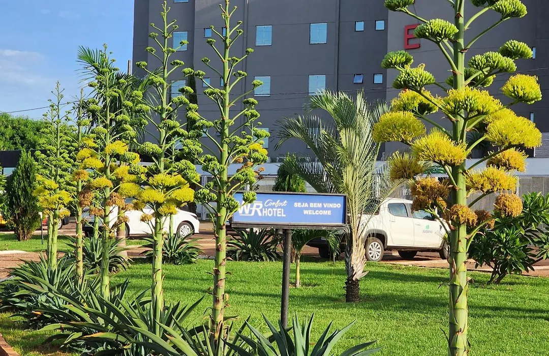 Wr Confort Hotel Campo Grande-1