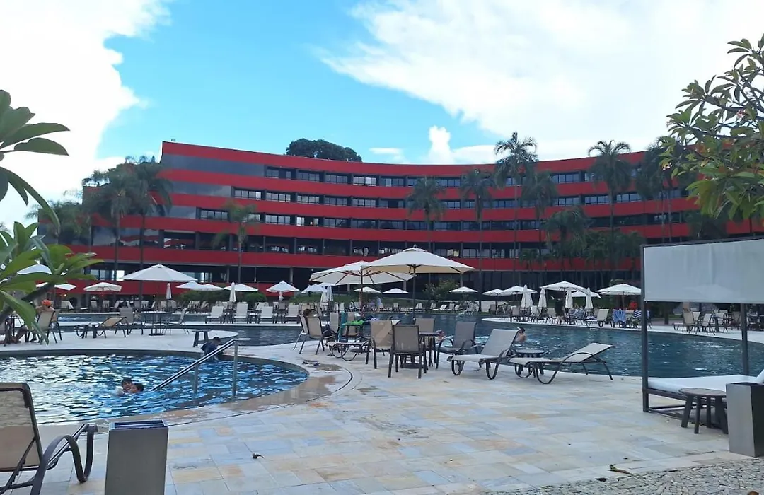 Brasilflats Golden Tulip-1