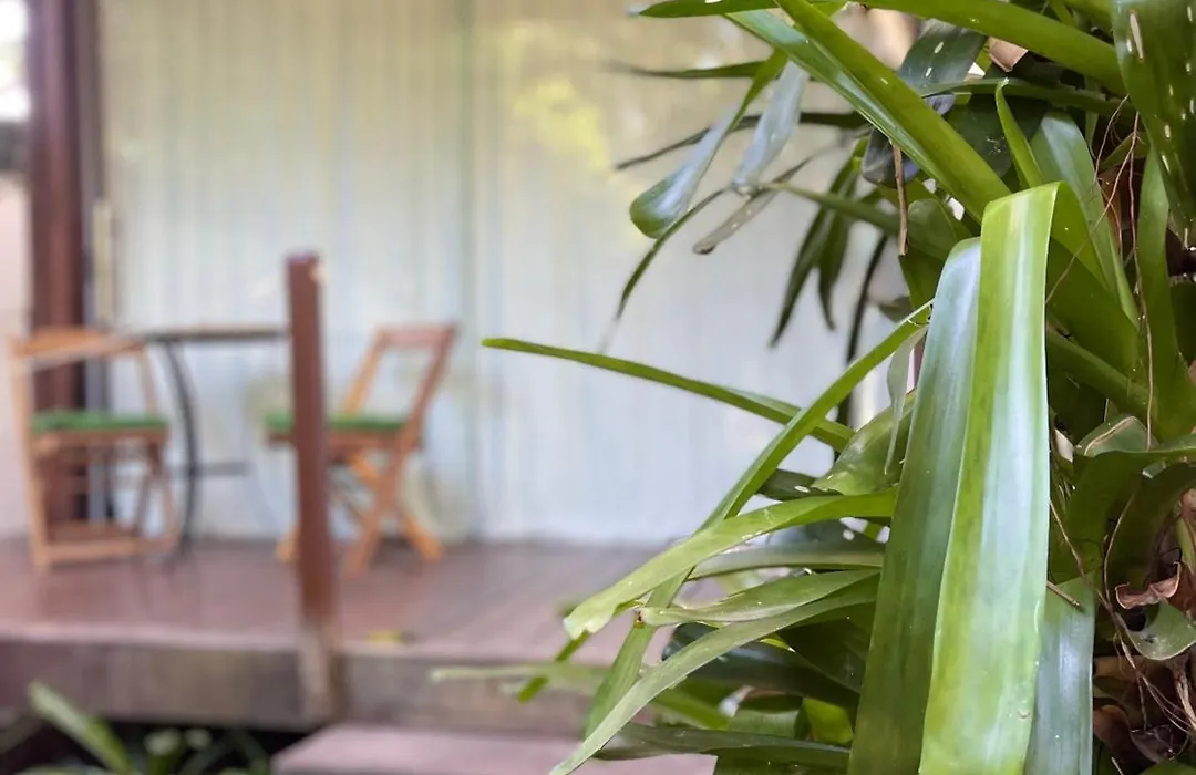 Yucca Pousada-1