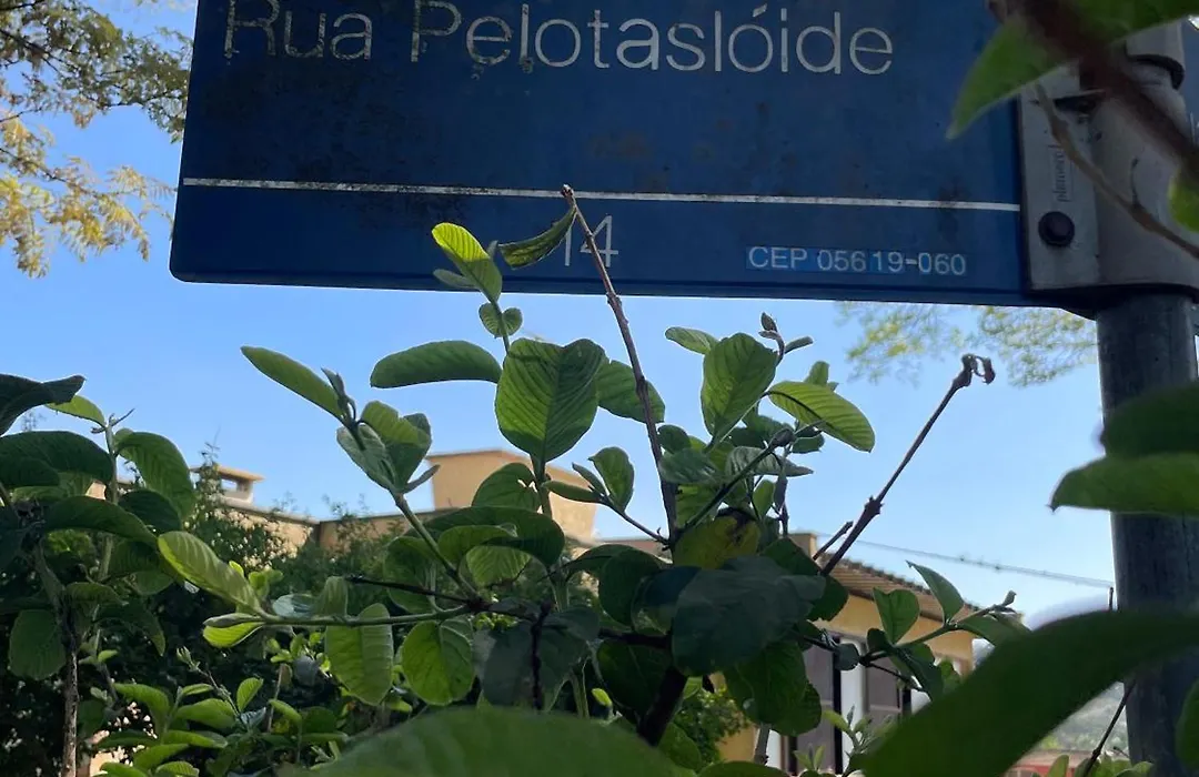 A Casa Que Hospeda-1
