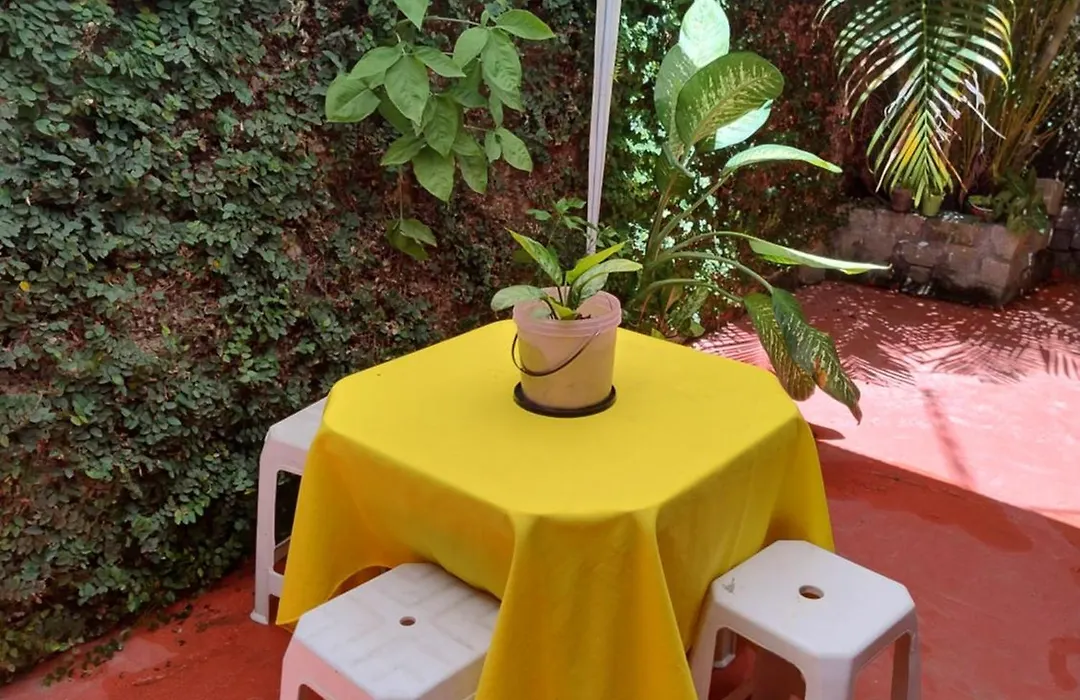 Perto Do Aeroporto De Salvador - Dona Pitanga Hostel-1