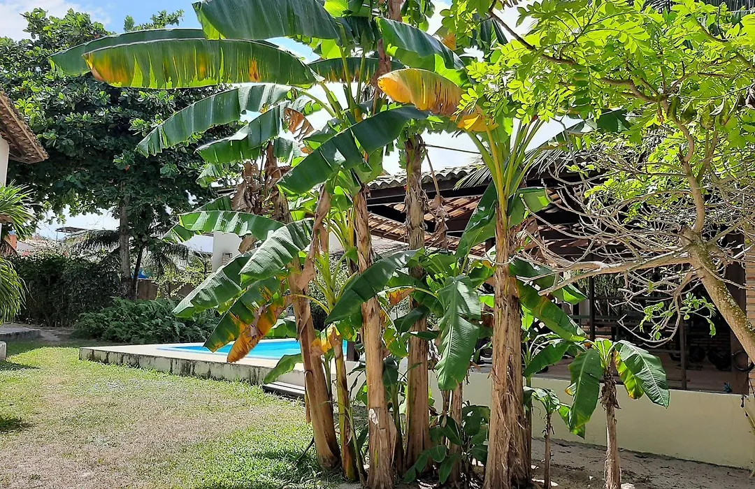 Casa Jeri-1