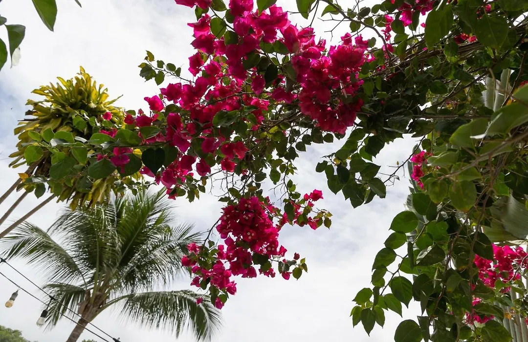 Pousada Bella Vida-1