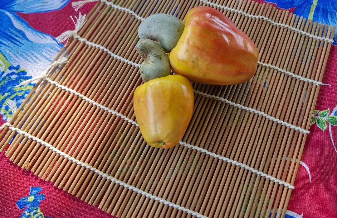 Pousada Sorriso da Mata..-1