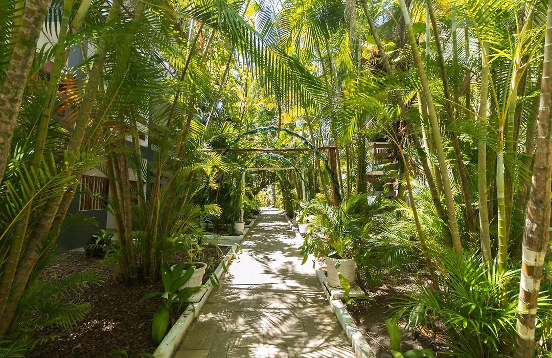 Indaiá Eco Village-1