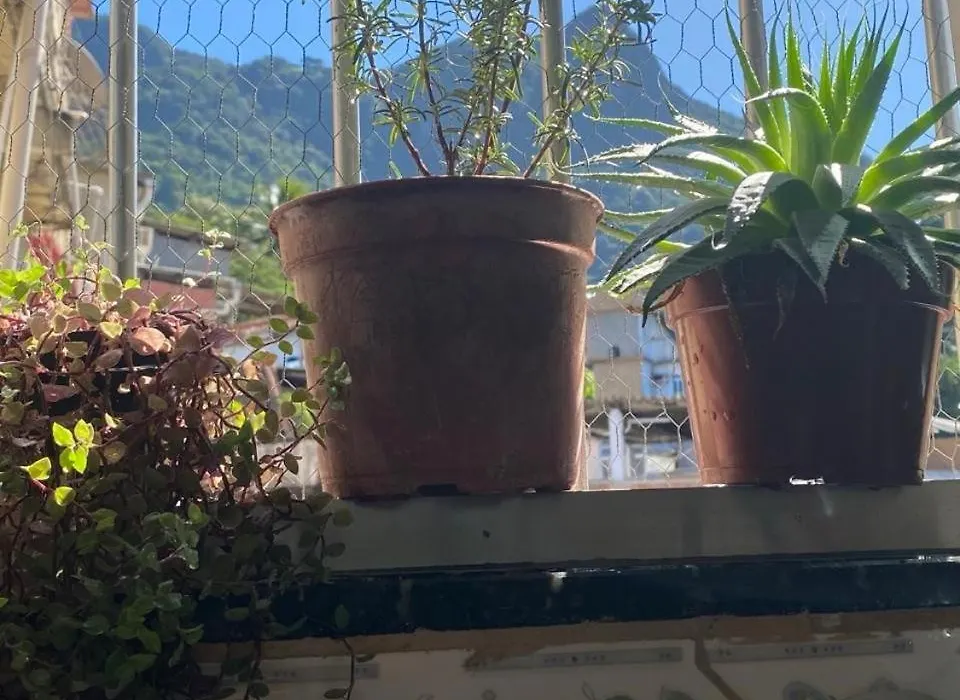 Casa Zona Sul-1