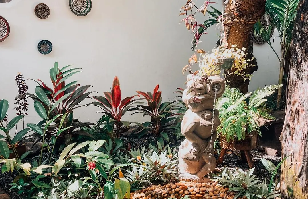 Encanto Caraíva-1