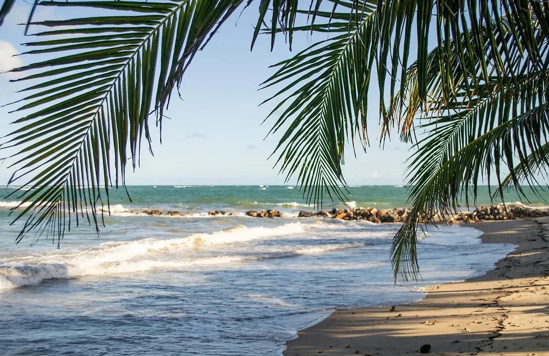 Serrambi Praia Suites-1