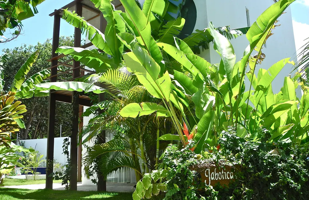 La Reserve Design Villa Ida-1
