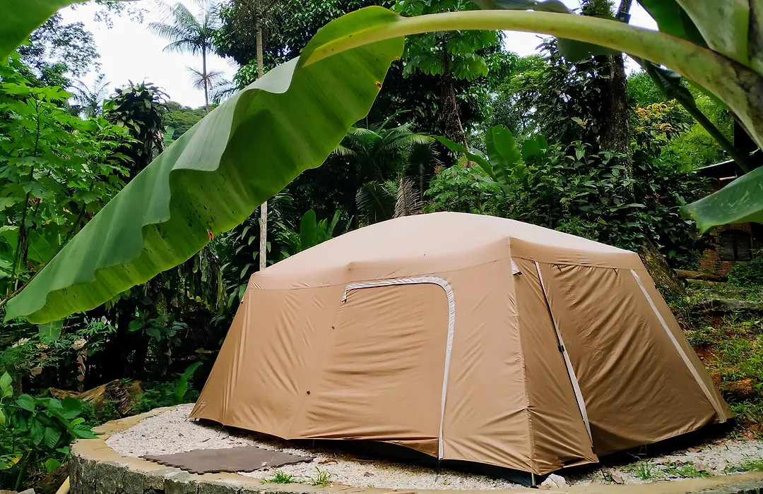 Sitio Simple Life-1