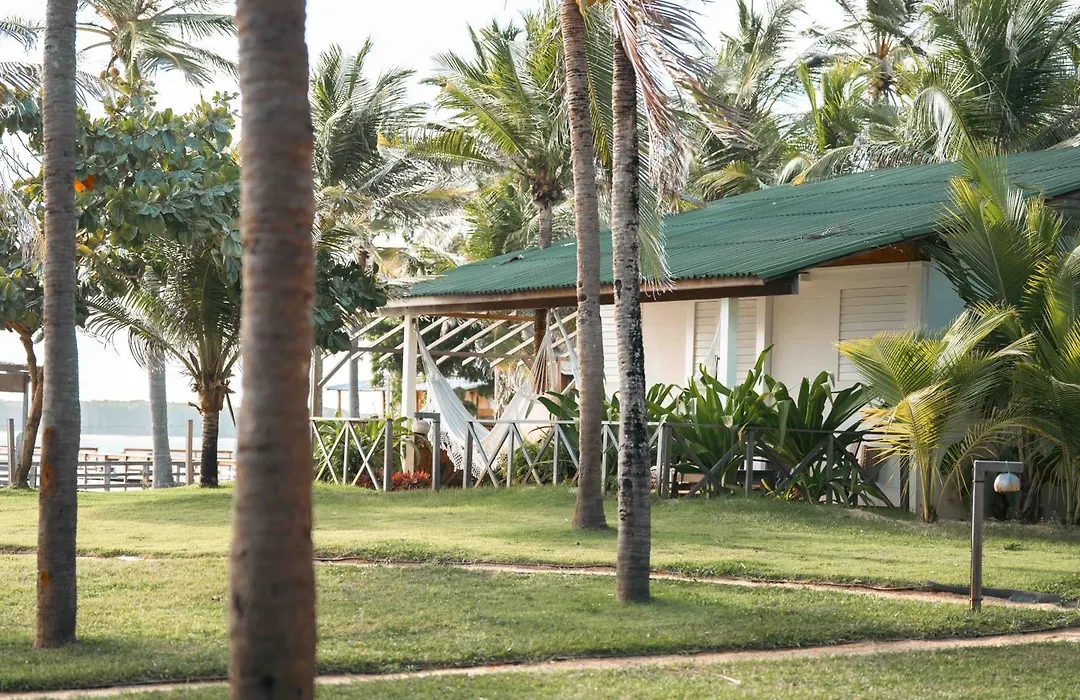 Muita Paz-1