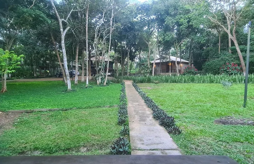 Bosque São Francisco-1