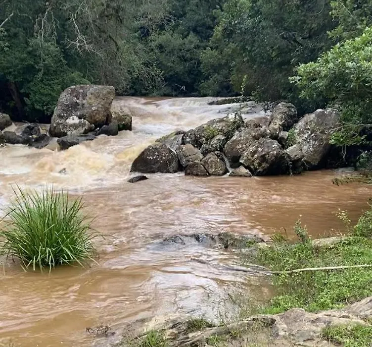 Pousada São Luiz - Monte Verde-1