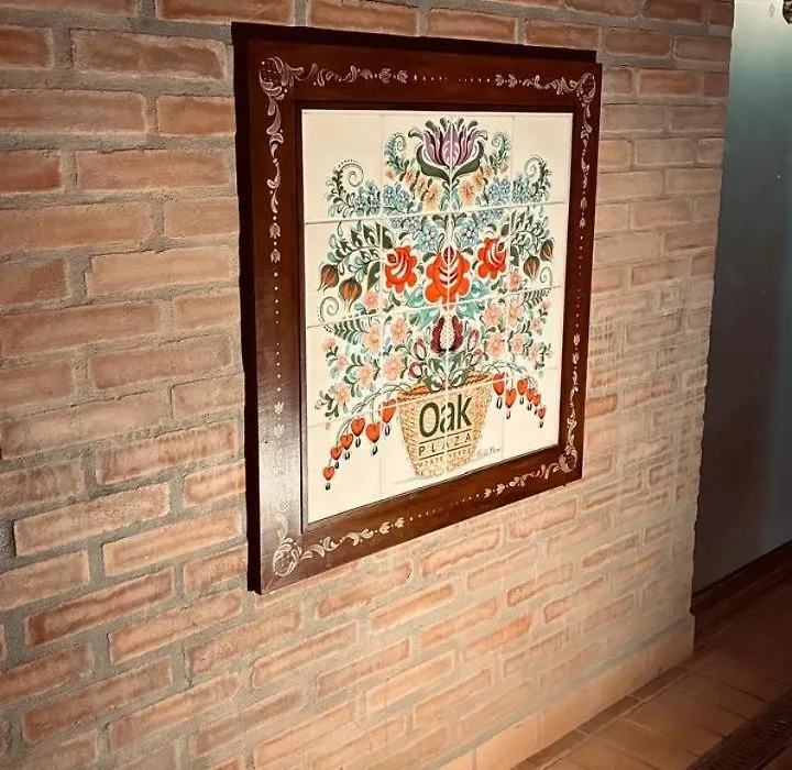 Pousada OAK Plaza-1