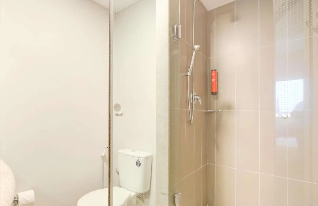 Ibis Paranagua-1
