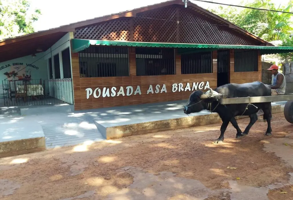 Pousada Asa Branca-1