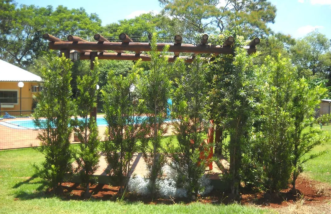 Pousada Chácara Mamma Gaia-1