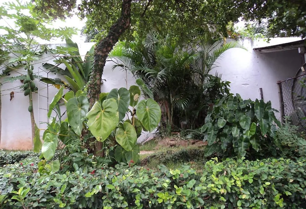 Iguassu Central Flats-1
