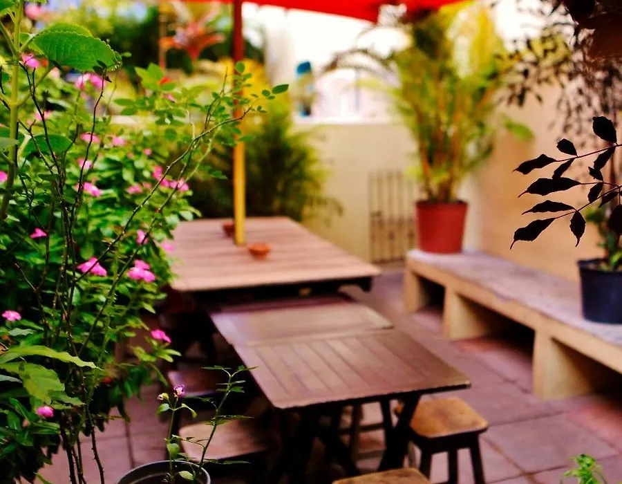 Hostel Galeria 13-1