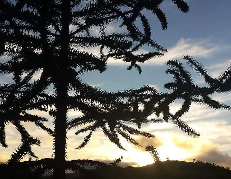 Caminho do Sol-1