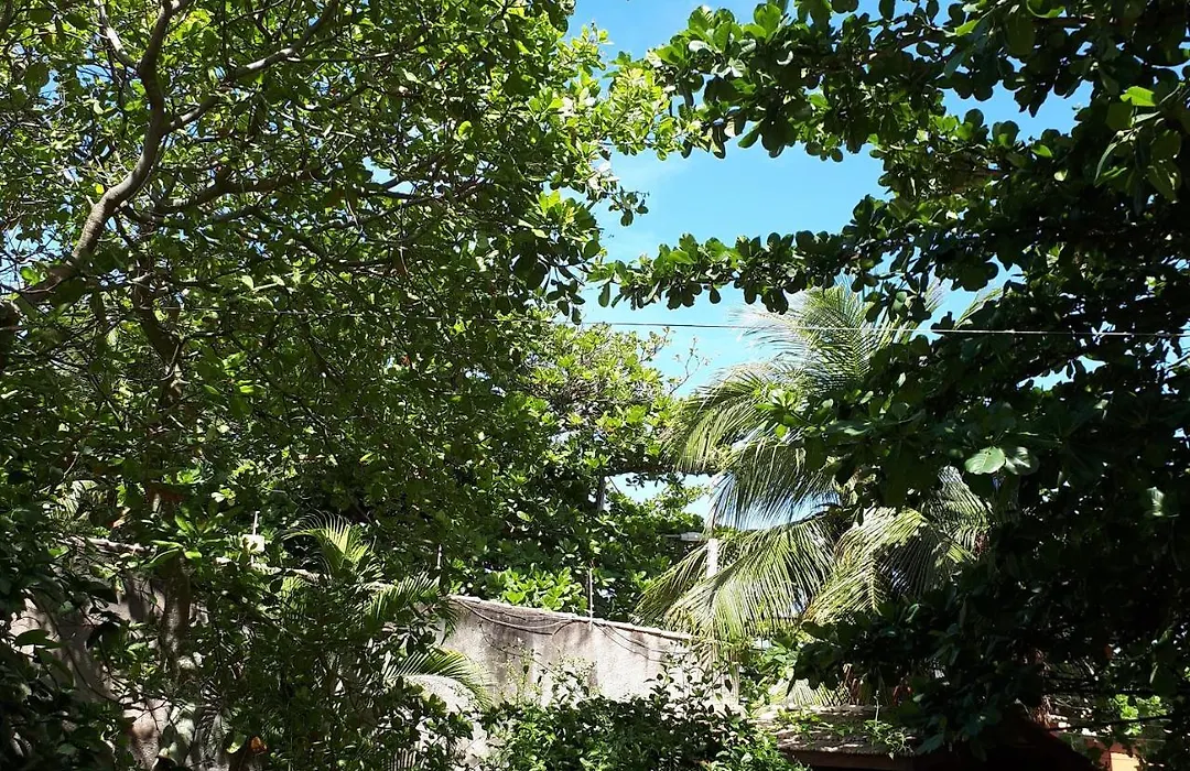Paraiso Do Flamengo-1